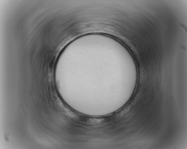 X0000100191513200806201346