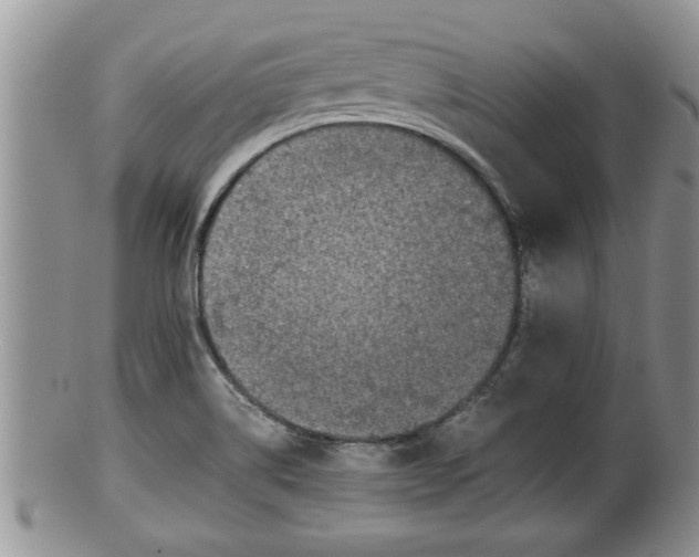 X0000100191514200806201346