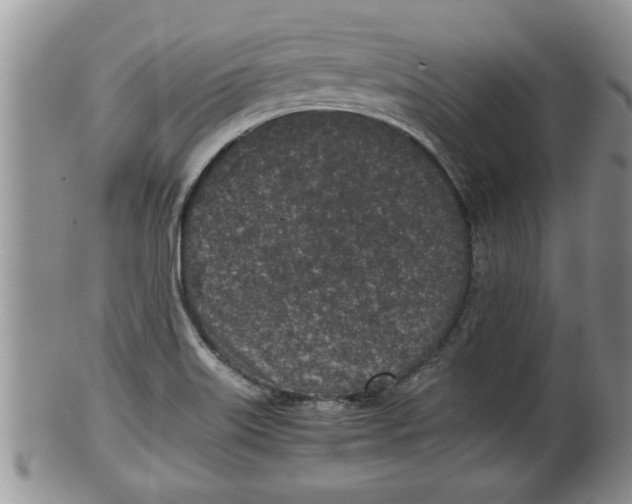 X0000100191515200806201346
