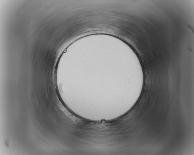 X0000100191516200806201346