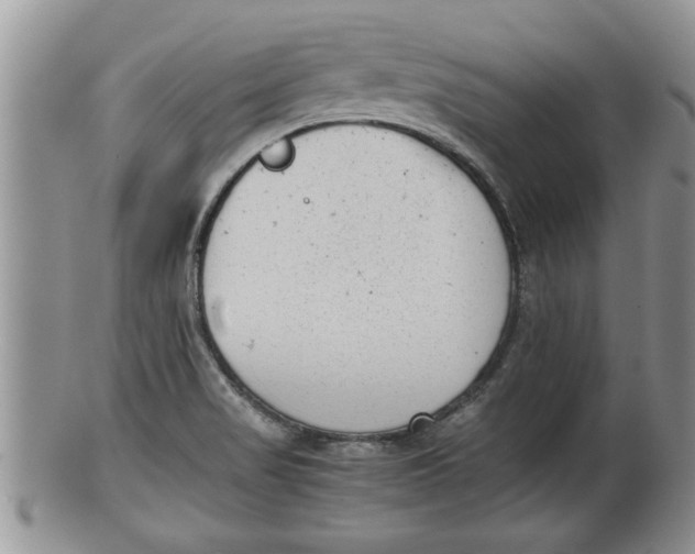 X0000100191517200806201346