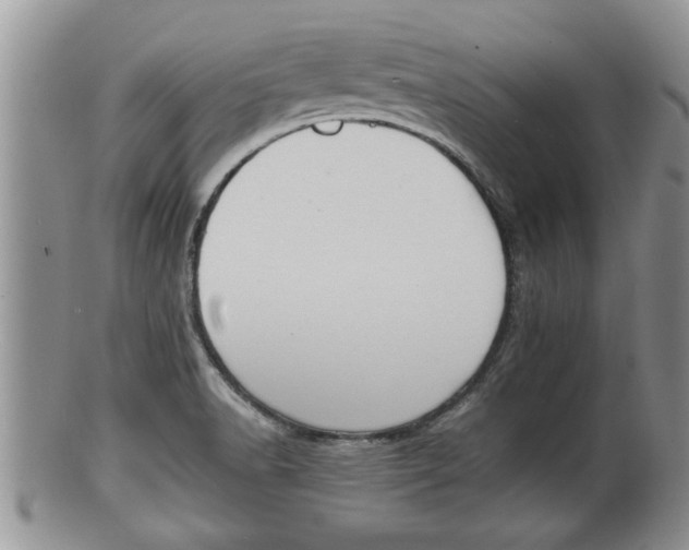 X0000100191518200806201346