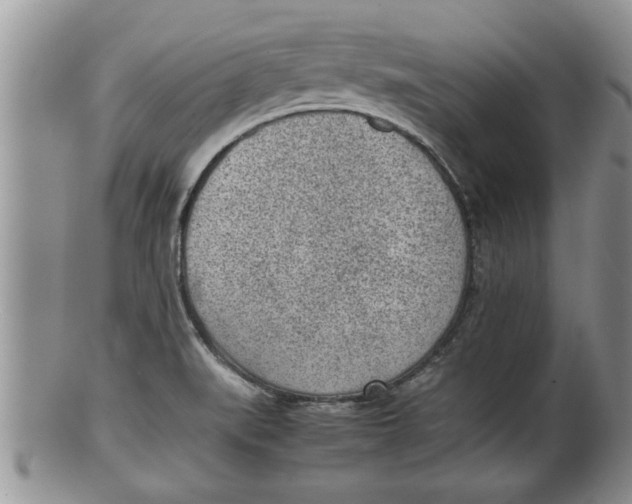 X0000100191519200806201346
