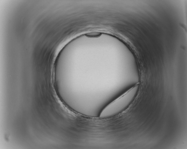 X0000100191520200806201346