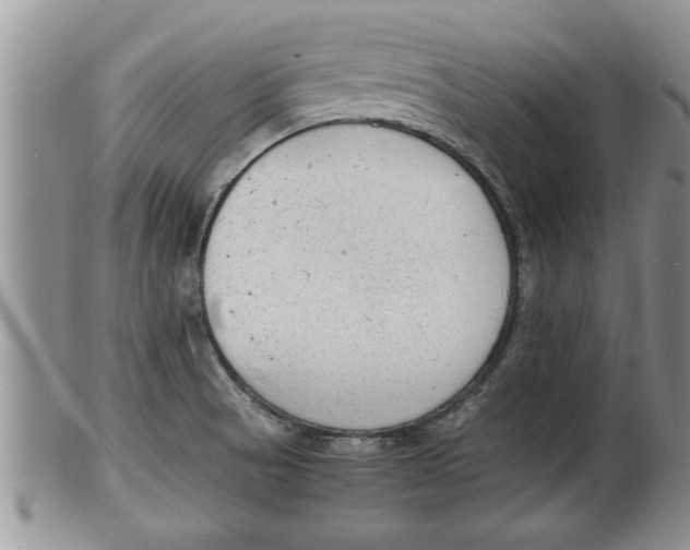 X0000100191521200806201346