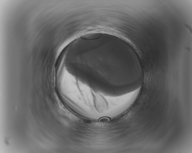 X0000100191522200806201346