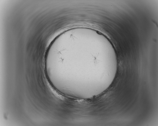 X0000100191523200806201346
