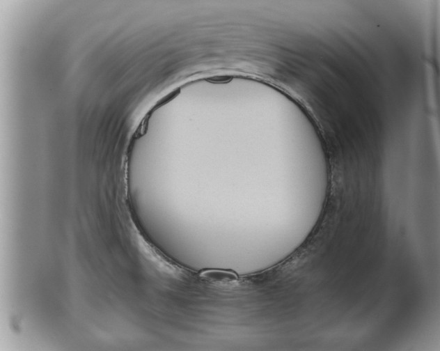 X0000100191524200806201346