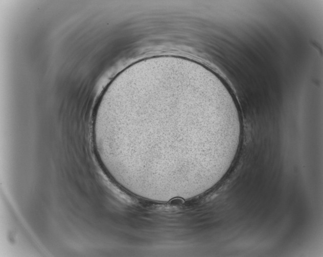 X0000100191525200806201346