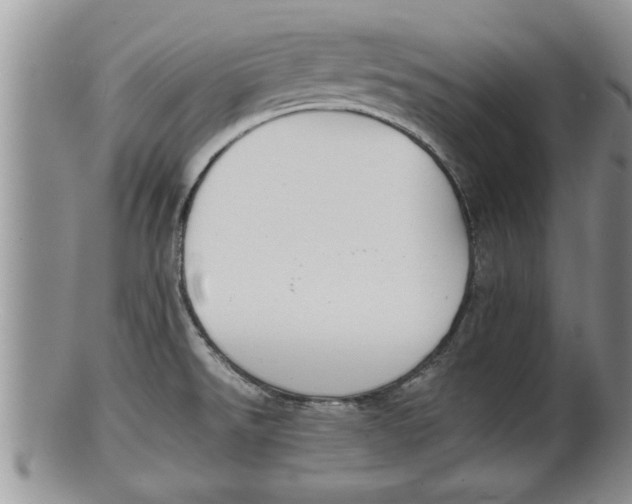 X0000100191526200806201346