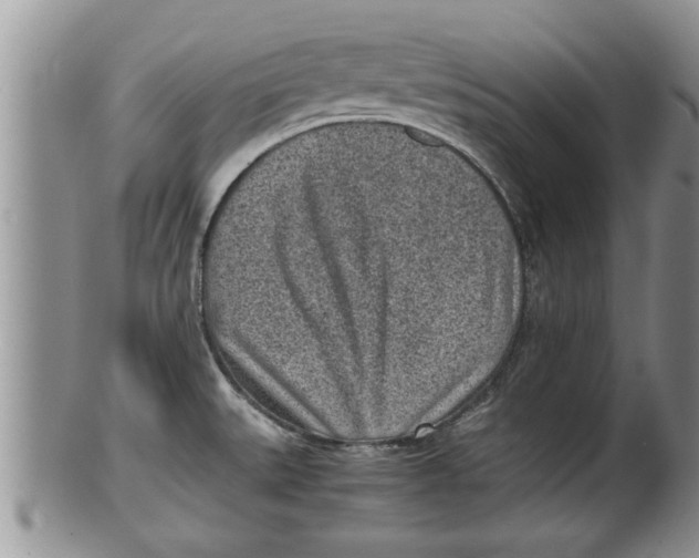 X0000100191527200806201346