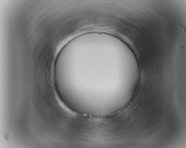 X0000100191528200806201346