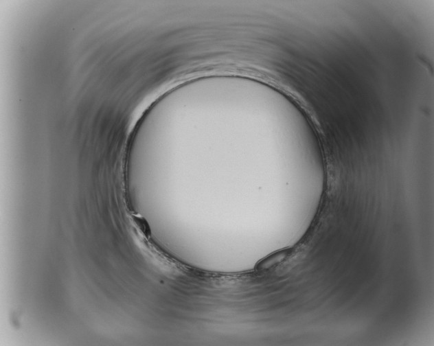 X0000100191530200806201346