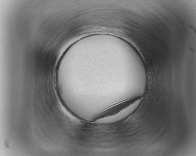 X0000100191531200806201346