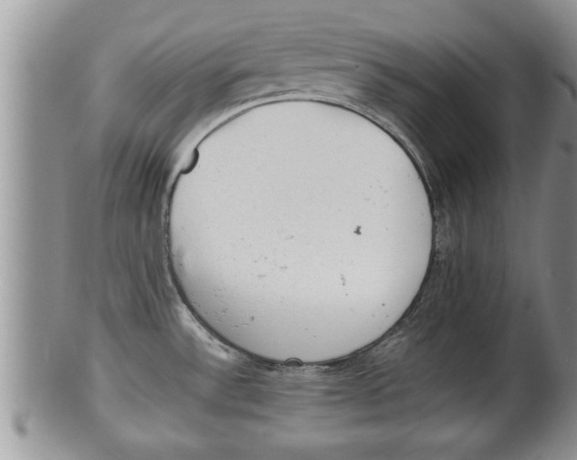 X0000100191532200806201346