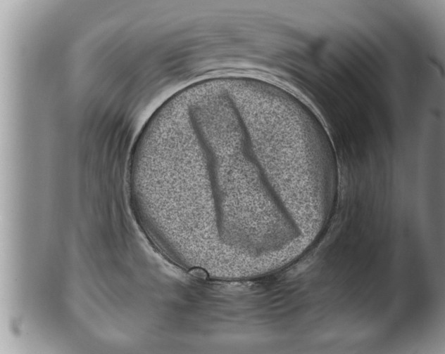 X0000100191533200806201346