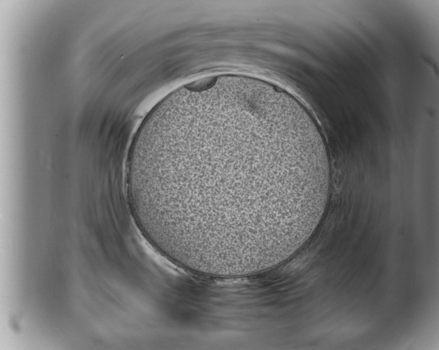 X0000100191535200806201346