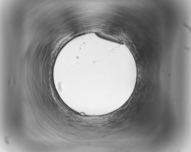 X0000100190001200806271630