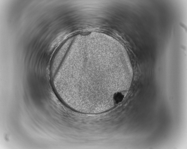 X0000100190002200806271630