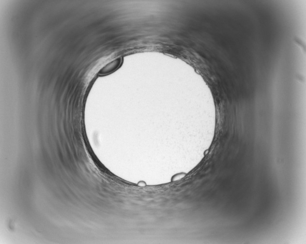 X0000100190003200806271630