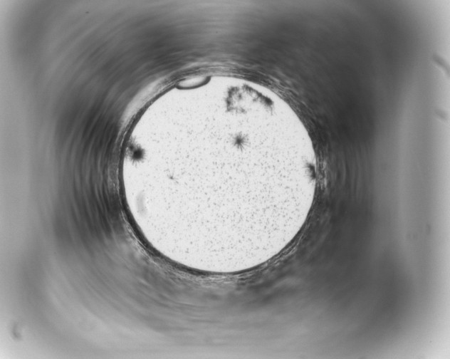 X0000100190004200806271629