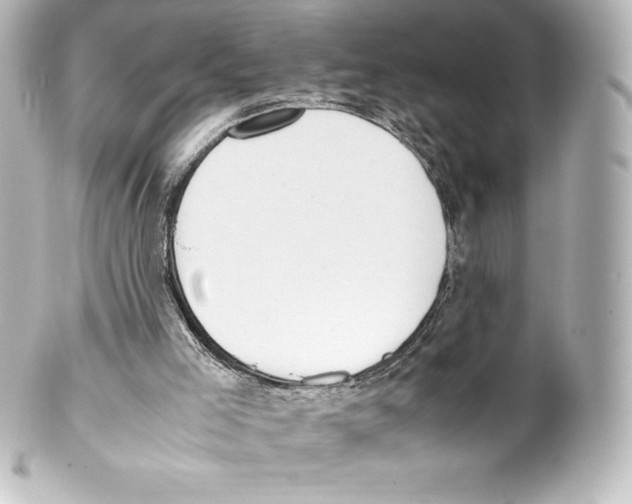 X0000100190005200806271629