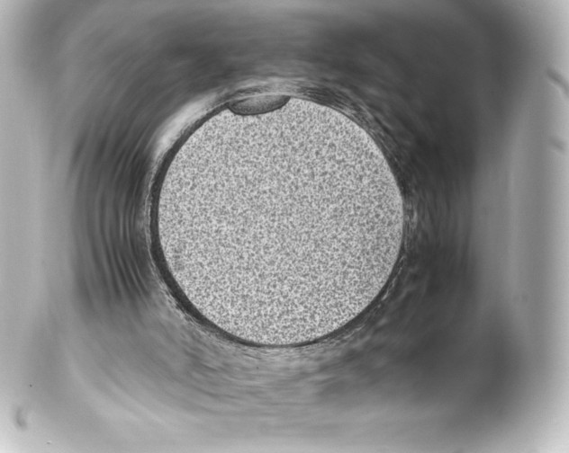 X0000100190006200806271629