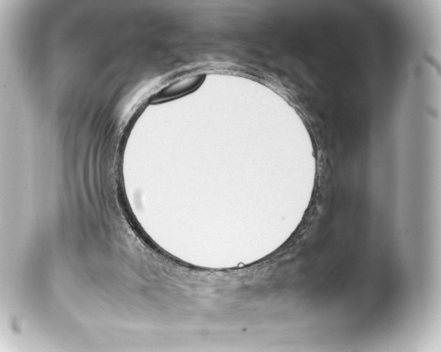 X0000100190007200806271629