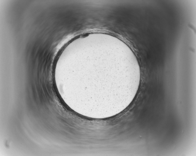 X0000100190008200806271629