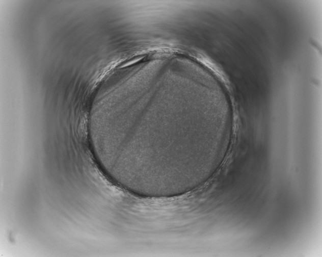 X0000100190009200806271629