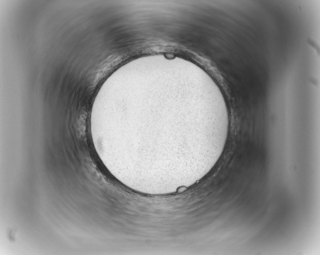 X0000100190010200806271629