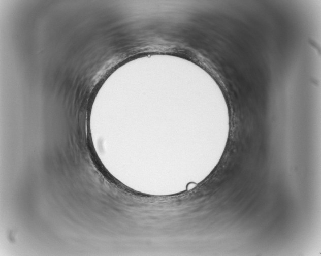 X0000100190011200806271629