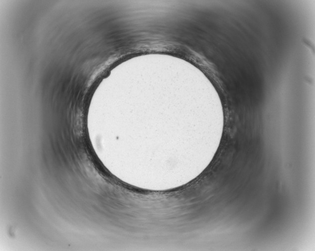 X0000100190012200806271629