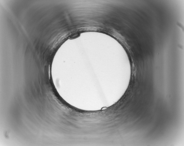 X0000100190013200806271629
