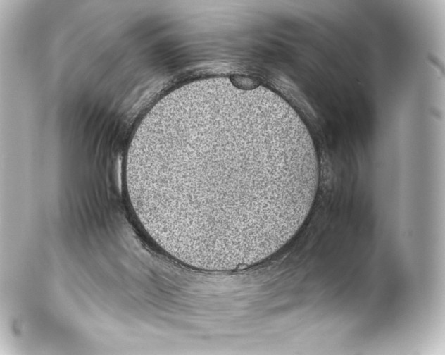 X0000100190014200806271629