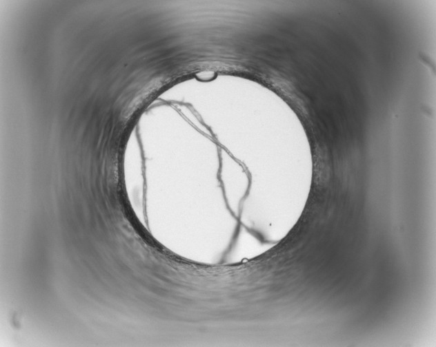 X0000100190015200806271629