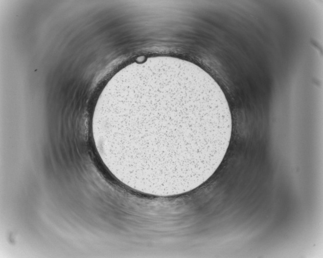 X0000100190016200806271629