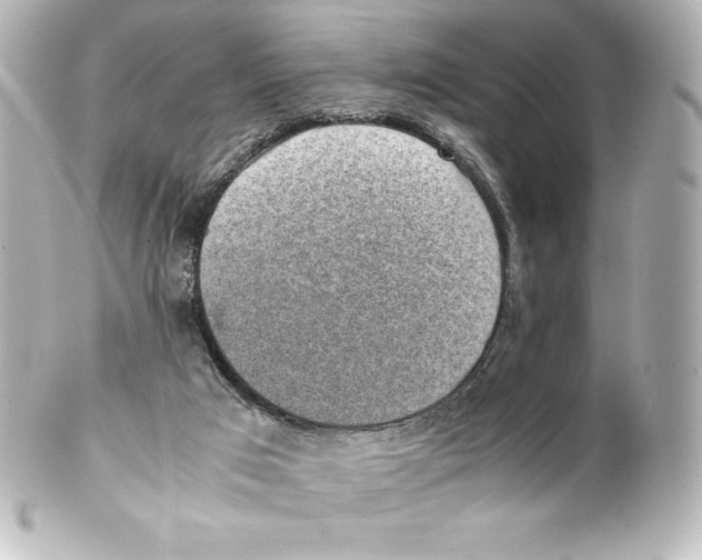 X0000100190017200806271629