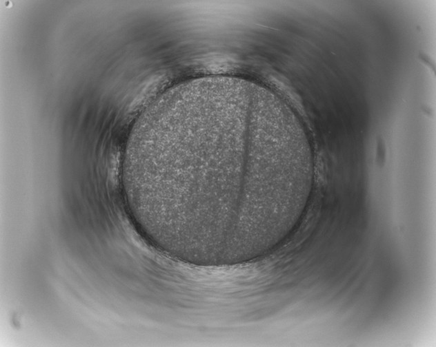 X0000100190018200806271629