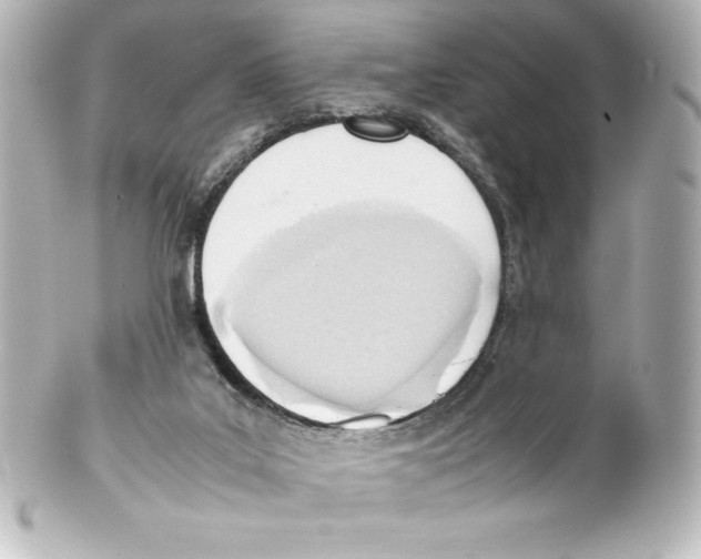 X0000100190019200806271629
