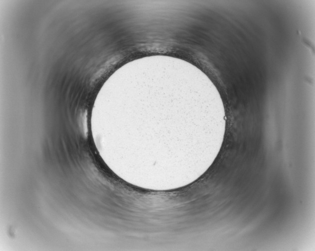 X0000100190020200806271629