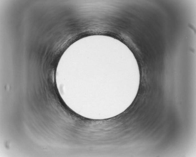 X0000100190021200806271629
