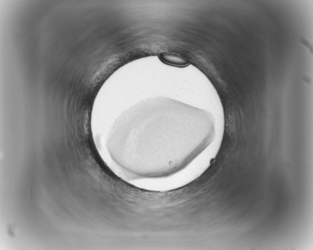 X0000100190023200806271629