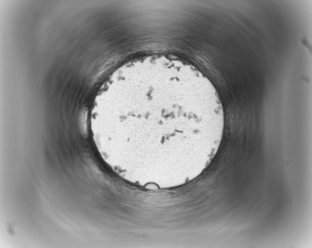 X0000100190024200806271629