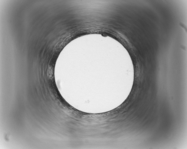 X0000100190025200806271629