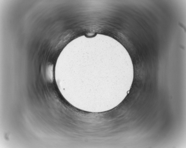 X0000100190028200806271629