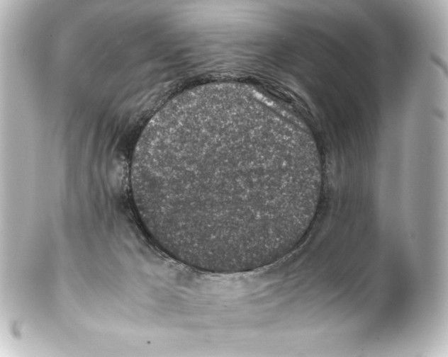 X0000100190029200806271629