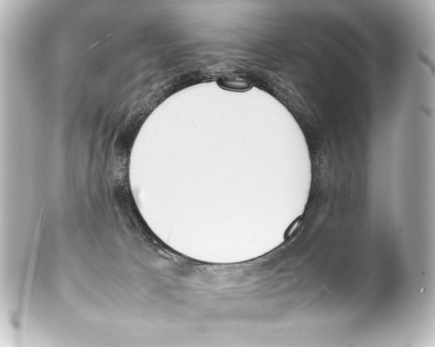 X0000100190033200806271629