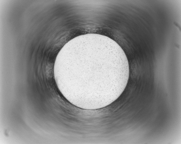 X0000100190034200806271629