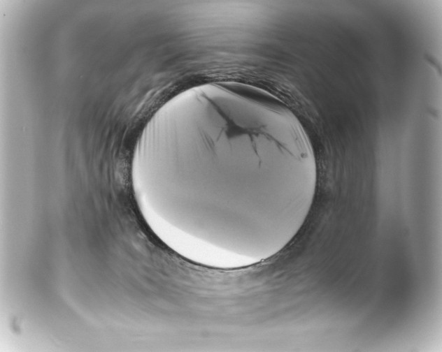 X0000100190035200806271629